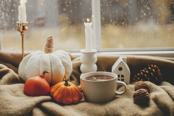 Cozy autumn rainy day. Stylish warm cup of tea, candle, pumpkins on cozy wool blanket against...