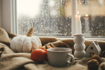 Stylish warm cup of tea, candle, pumpkins on cozy wool blanket against window with rain drops. Moody fall wallpaper. Happy Thanksgiving. Autumn banner. Cozy autumn rainy day