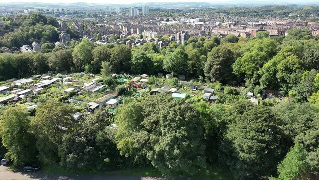 Low level aerial filming over the garden allotments at Queens Park on the South Side of Glasgow. Cityscape on a bright sunny day.