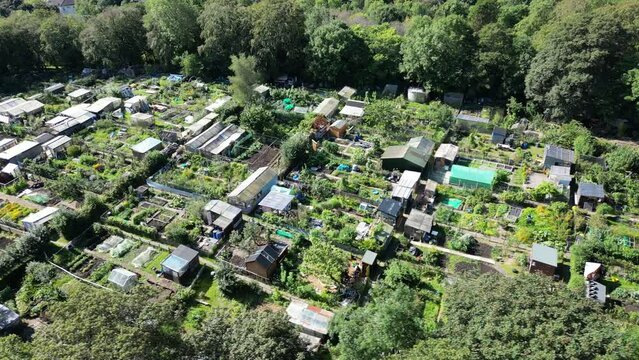 Low level aerial filming over the garden allotments at Queens Park on the South Side of Glasgow, on a bright sunny day.