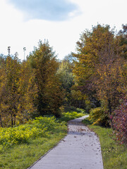 Ścieżka w kolorach jesieni