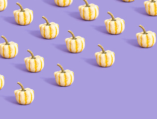Pattern made of white with yellow lines pumpkin on purple colored background with copy space. Minimal autumn concept. Creative fall idea. Season of pumpkin in October.