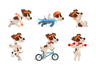 Cute Sportive Jack Russell Terrier Running, Swimming, Cycling and Playing Ball Vector Set