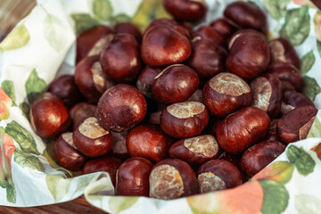peeled horse chestnuts in the bowl, autumn background, October afternoon outdoors, shiny fruits
