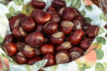 peeled horse chestnuts in the bowl, autumn background, October afternoon outdoors, shiny fruits