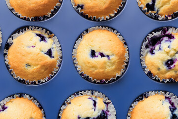 juicy and yummy blueberry muffins, a high calorie baked food , sweet and sugary