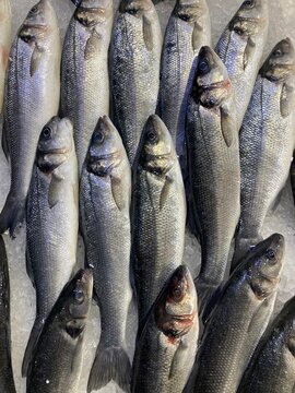 fresh fish on ice