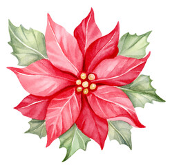 Christmas Red Poinsettia flowers. Watercolor hand painted winter season botanical floral illustration.