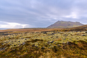 auf der Halbinsel Snæfellsnes auf Island befindet sich die traumhafte Landschaft von Arnarstapi mit den Felsen von Gatklettur