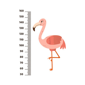 Kids Height Meter With Funny Cartoon Flamingo And Centimeter Scale. Growth Chart For Children Height Measurement
