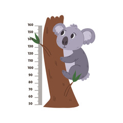 Kids Wall Centimeter Sticker With Cute Koala Tropical Animal. Height Meter With Funny Cartoon Character And Scale Chart