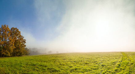 Fototapeta na wymiar an autumnal landscape and fog
