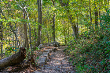 A dirt path runs through the green forests of Shenandoah National Park in Virginia during the Fall.