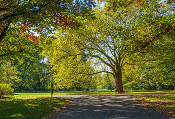 K&ouml;lner Stadtwald