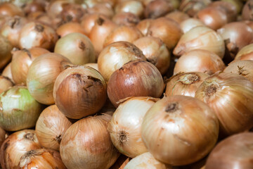 Fresh onions in the supermarket. Vegetables and fruits exposed for the consumer to choose