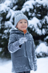 A little boy in a gray coat and a knitted hat holds a cockerel lollipop in his hand
