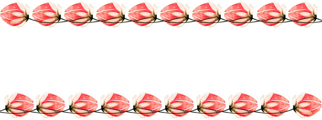 Banner con cornice orizzontale di fiori rosa, illustrazione isolata su sfondo bianco
