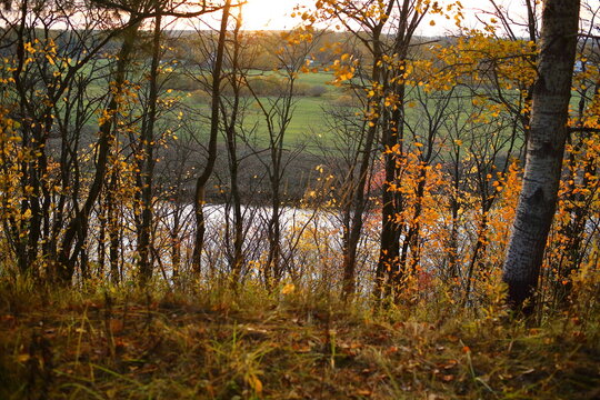 Trees in the foreground and a river in the blur of bokeh in the background in autumn