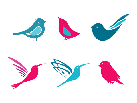 set of silhouettes of beautiful colored birds