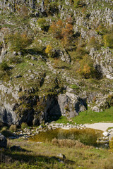 autumn landscape in the mountains