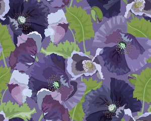 Vector floral seamless pattern. Lilac poppies, green leaves and buds on a purple background.