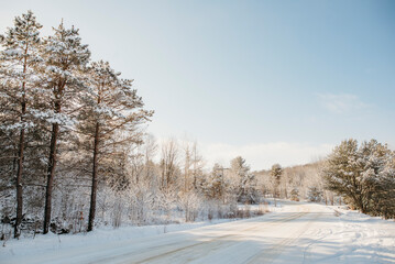 Obraz na płótnie Canvas Sunny winter road