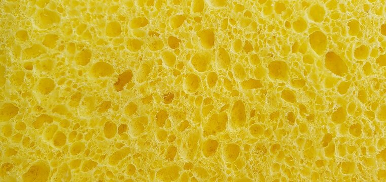 Sponge Texture Images – Browse 235,132 Stock Photos, Vectors, and Video ...