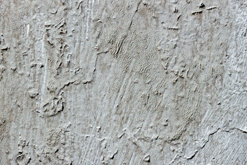 Old grey concrete wall, cement texture, dark abstract background