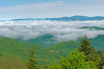 Obraz premium Morning Clouds Hanging Over the Mountains