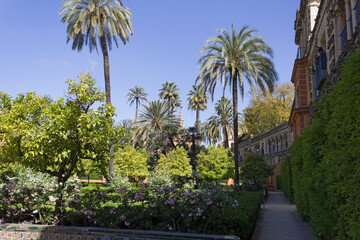  The Real Alcazar Gardens, Seville, Spain.