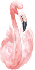 Naklejka premium Watercolor Pink Flamingo Tropical Bird