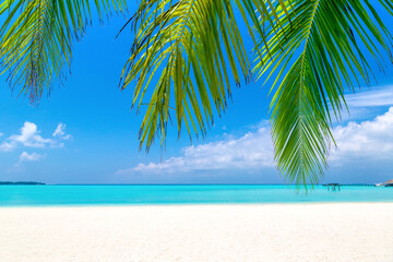 Tropical beach and palm leaves