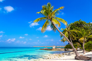 Tropical beach in the Maldives