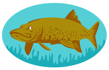 illustration of  a Pike or muskie fish swimming set inside an oval