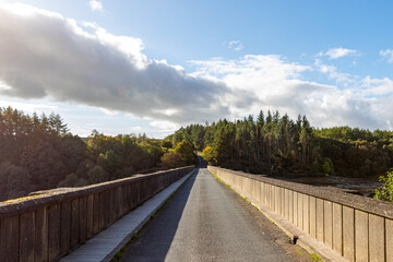 bridge over the river