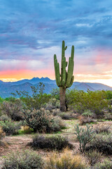 Photograph of sunrise in the Tonto National Forest with Four Peaks in the background.  © Christopher