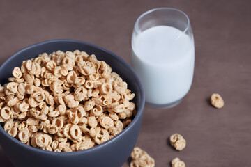 cereal and milk, a healthy breakfast food, good nutrition staple food item