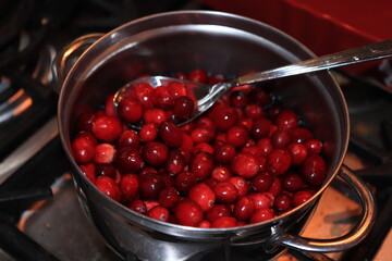 Homemade cranberry sauce