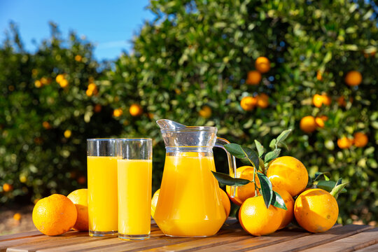 Glass jug and glasses with fresh orange juice on wooden table with oranges in an outdoor setting during summer. High quality photo