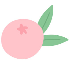 Cute Flower Berry Doodle Element for Decoration