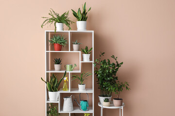 Table and shelving unit with different houseplants near beige wall