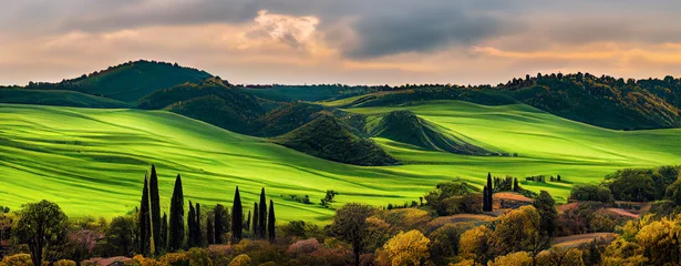 Schöne und wundersame Farben der grünen Frühlingspanoramalandschaft von Toskana, Italien. Toskana-Landschaft mit Getreidefeldern, Zypressen und Häusern auf den Hügeln bei Sonnenuntergang. © Viks_jin