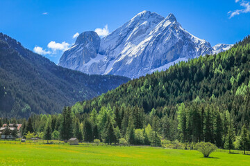 Fototapeta na wymiar Alpine meadows near Cortina D Ampezzo with Dolomites alps, Italy