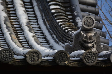 Fototapeta premium 積雪