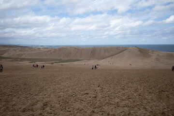 Fototapeta na wymiar 日本の鳥取県鳥取市の雄大な砂丘