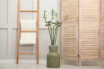 Vase with green bamboo stems, folding screen and ladder on floor in room. Interior design