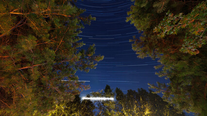 star trails of moon between trees, stars and jupiter © Sepe44