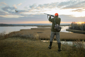 Duck Hunter.  waterfowl hunter shooting into flying duck during duck hunting at sunrise.