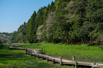 Fototapeta na wymiar 休憩所と新緑、千葉市昭和の森