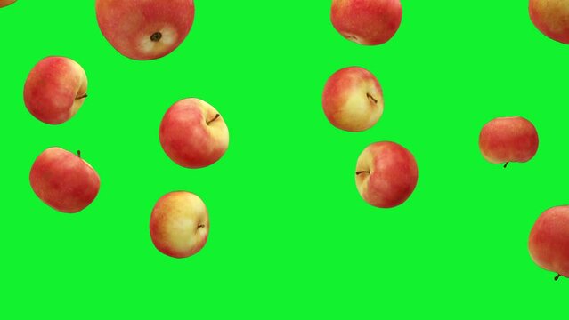 Apples are falling into transparent space on green screen background. Seamless looped 4K Footage